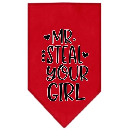 MIRAGE PET PRODUCTS Mr. Steal Your Girl Screen Print BandanaRed Small 66-180 SMRD
